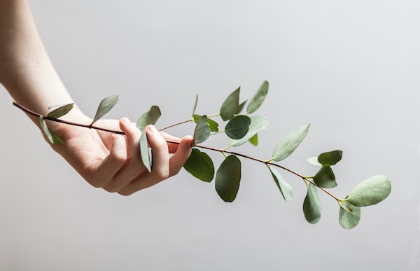 alex-lvrs-4N5huJDOydQ-unsplash