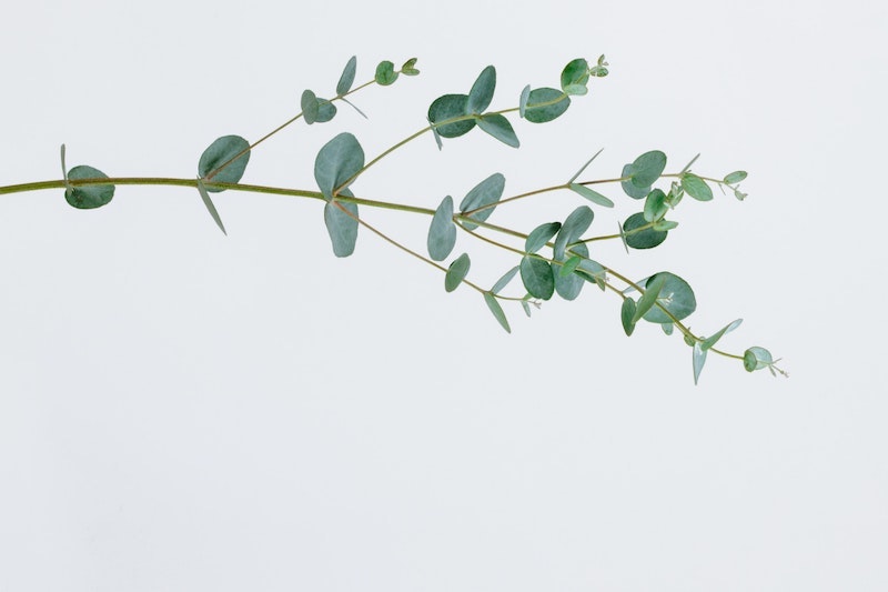 pawel-czerwinski-yryt6Hwl52U-unsplash