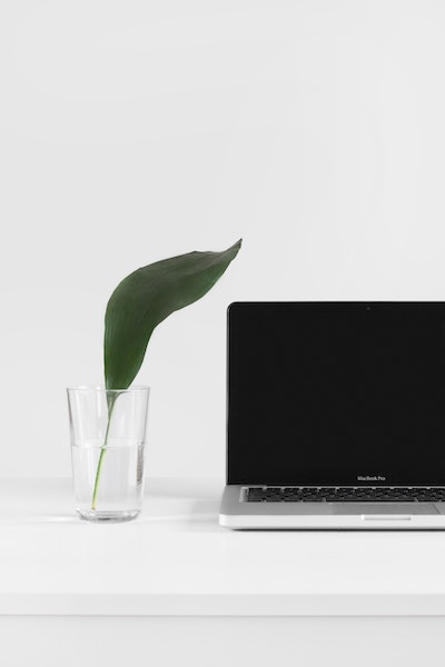 sarah-dorweiler-QeVmJxZOv3k-unsplash (1)
