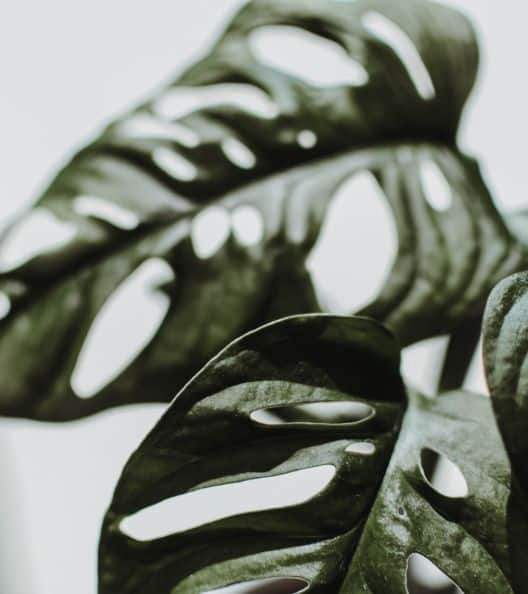 site internet éco-responsbale